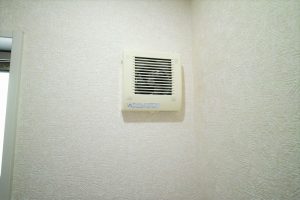 DP0Q4570