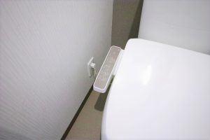 DP0Q5273