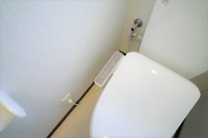 DP0Q5330