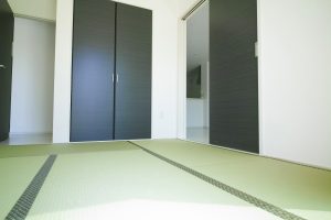DP0Q5598