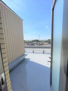 IMG_8446