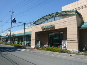 マルエツ大宮砂町店