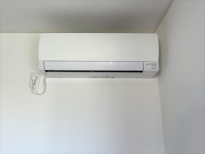 IMG_9004