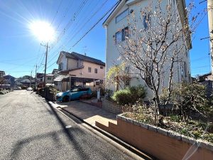 IMG_1654