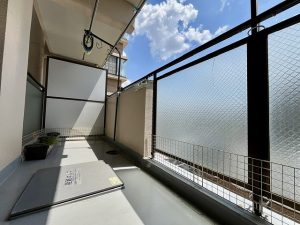 IMG_3382